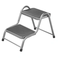 ProPlus 360829V01 scalino a due gradini per roulotte da 150 kg