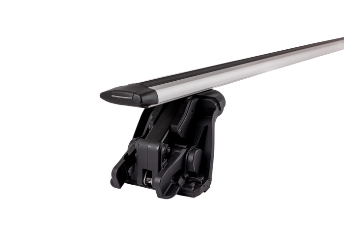 Portapacchi Mont Blanc Furka E+E argento