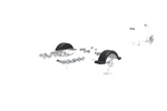 Parafango per rimorchio per barca 13" DOMAR D20422 passaruota 950/240mm