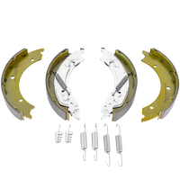 Set: ganasce freno Knott 250x40 con il kit di molle