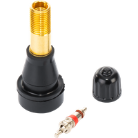 Valvola per auto TR 600 HP