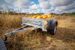 Rimorchio carrello leggero senza freni trasporto cose 750 kg Unitrailer Garden Trailer 150 kipp (new)