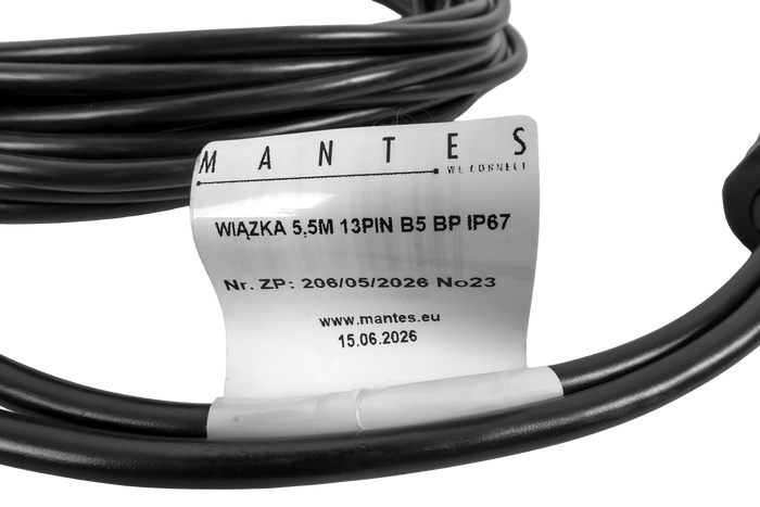 MANTES installazione elettrica, cablaggio per rimorchio barca, 5,5 m, spina a 13 pin, 2 baionette a 5 pin