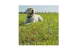 ProPlus 361857 Palo per legare il cane con cavo in acciaio da 4,5 m