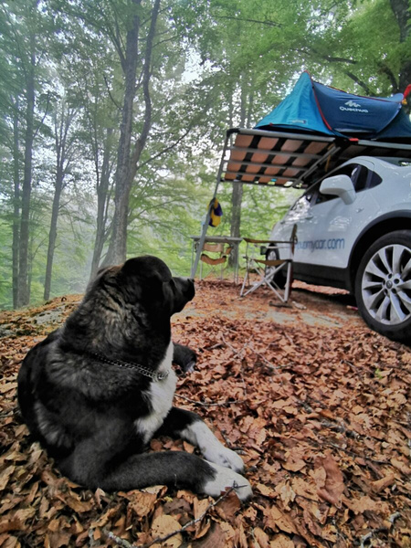 Piattaforma sul tetto per tenda CampUp - Karma 50.130