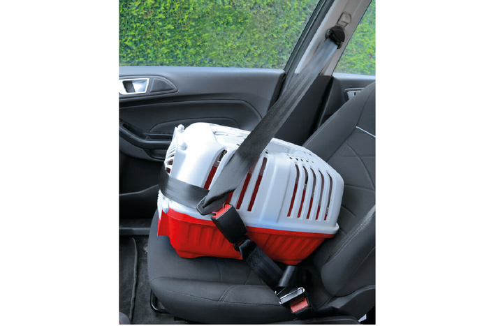 Estensione cintura di sicurezza omologata LAMP R16 28-62 cm